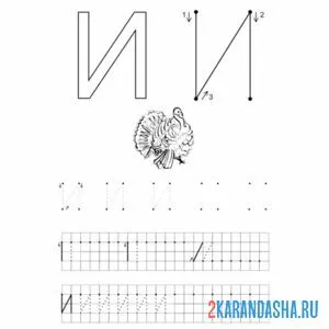 Раскраска заглавная буква и пропись