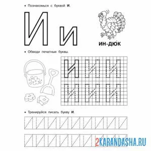 Раскраска обведи букву и пропись