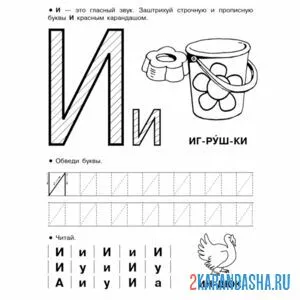 Раскраска пропись буква и печатная