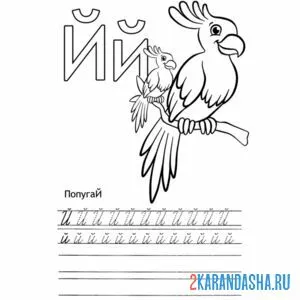 Раскраска напиши строчную и заглавную букву й