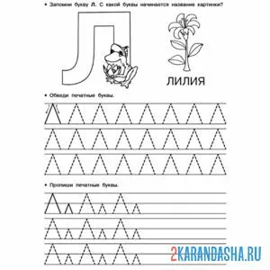 Раскраска заглавная и строчная буква л печатная