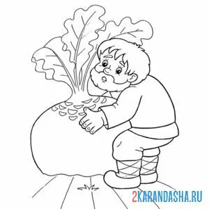 Раскраска вот так репка