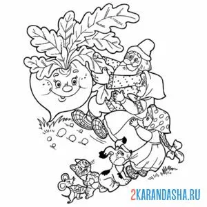 Раскраска сказка репка обложка