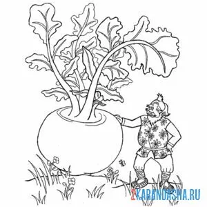 Раскраска выросла репка большая