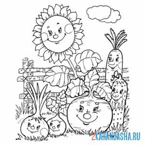 Раскраска другие овощи в огороде