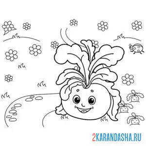 Раскраска репка выросла