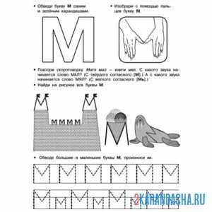 Раскраска пропись печатная буква м