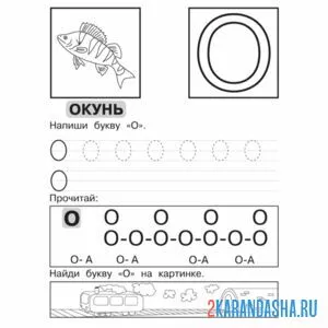 прописи буква о по линиям