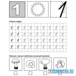 Раскраска цифра 1 пропись прописная