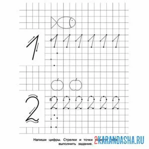 Раскраска пропись в клетку 1 2
