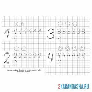 Раскраска пропись цифры 1 2 3 4