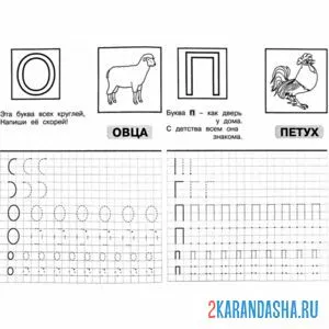 Раскраска пропись с рисунками о п