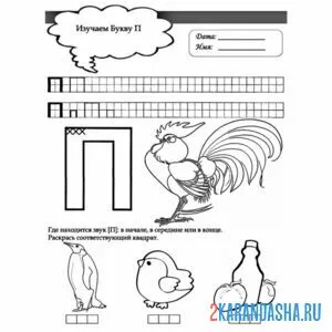 Раскраска пропись буква п рисунок петух