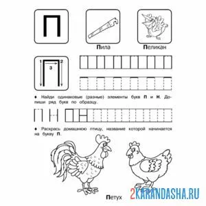 Раскраска пропись буква п с рисунком