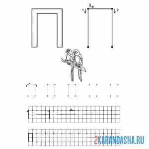 Раскраска пропись буква п учись писать