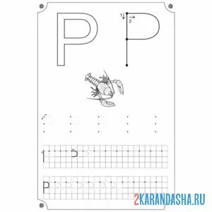 Раскраска пропись буква р по клеточкам