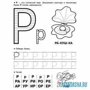 Раскраска пропись печатной буквы р