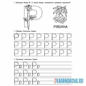 Раскраска обведи и напиши сам букву р