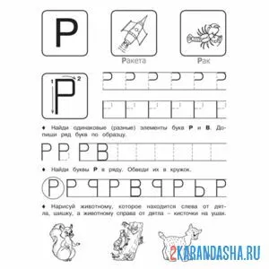 Раскраска пропись буква р учимся писать
