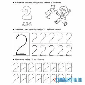 Раскраска пропись цифра 2 для школы
