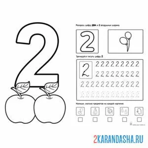 Раскраска несложное задание пропись цифра 2