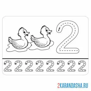 Раскраска сколько уточек на картинки пропись цифра 2