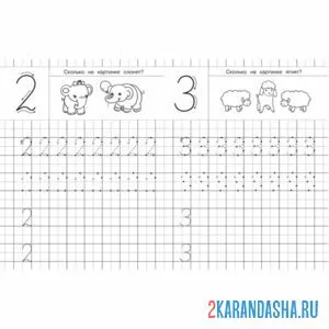 Раскраска пропись цифры 2 и 3 с заданием