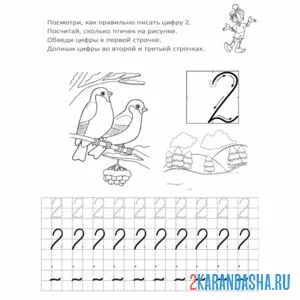 Раскраска пропись цифра 2 и картинки в детский сад