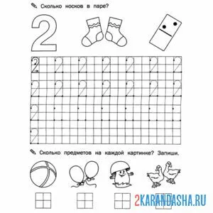 Раскраска пропись цифра 2 с заданием