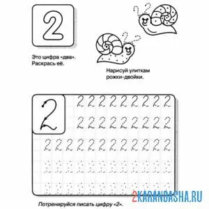 Раскраска цифра 2 учимся писать правильно