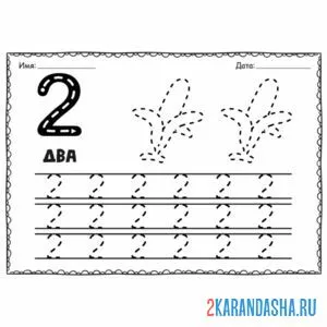 пропись цифра 2 обведи рисунок и цифры