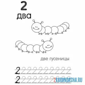 Раскраска пропись цифра 2 и картинки