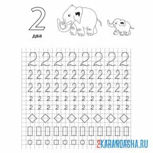 Раскраска пропись цифра 2 и другие рисунки