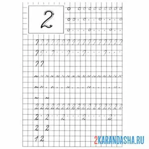 Раскраска пропись школьника цифра 2