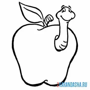 Раскраска червивое яблоко