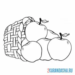 Раскраска яблоки упали из корзинки