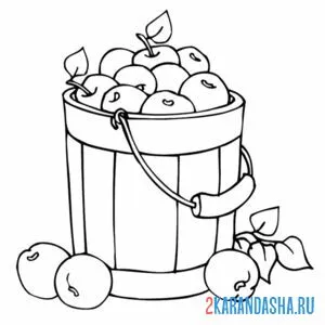 Раскраска ведро с яблоками