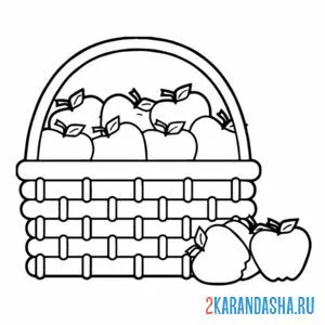 Раскраска яблоки в корзинке