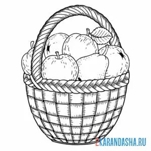 Раскраска корзинка с яблоками