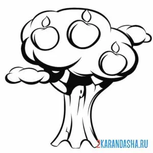 Раскраска яблоня с большими яблоками
