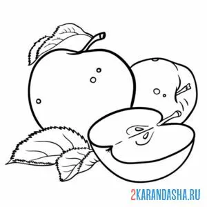 Раскраска яблоко в разрезе