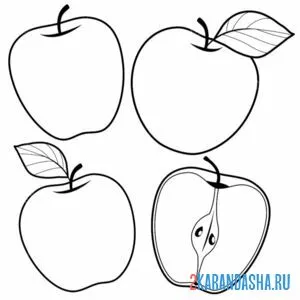 Раскраска яблоко с разных сторон