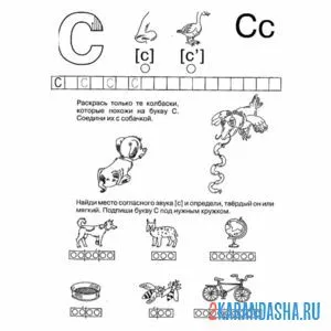пропись буква с дошкольника