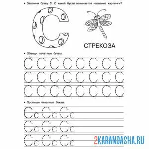 Раскраска печатная буква с пропись