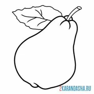 Раскраска спелая груша