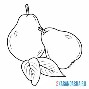 Раскраска две груши лежат