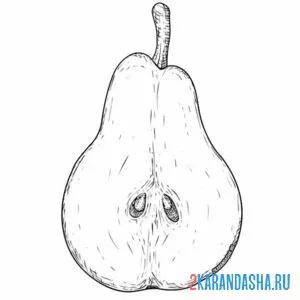 Раскраска груша разрезанная
