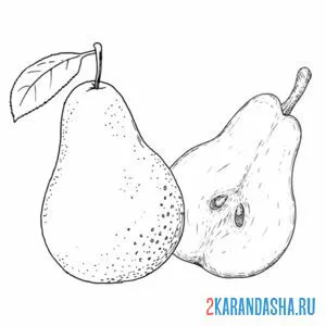 Раскраска груша и половинка груши