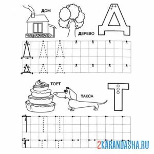 Раскраска пропись буква д т