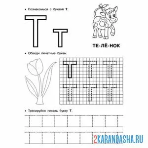 Раскраска обведи букву т пропись